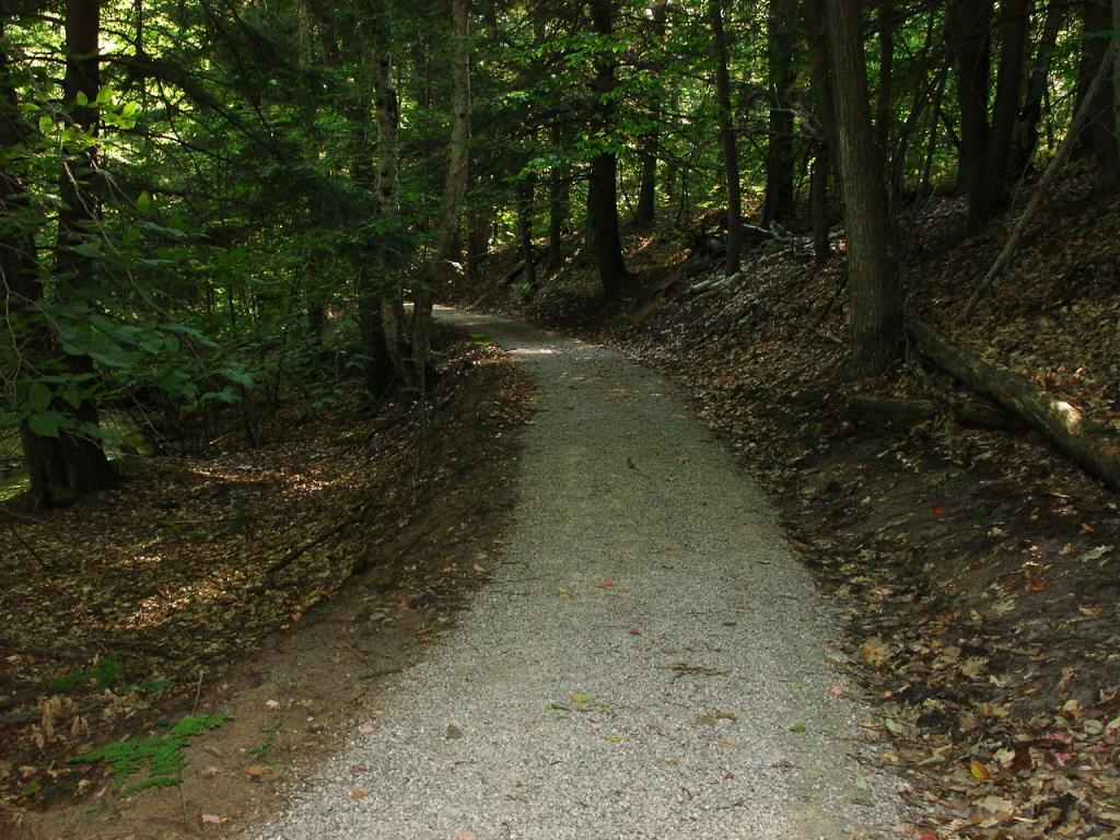 Ransom Lake Natural Area Path