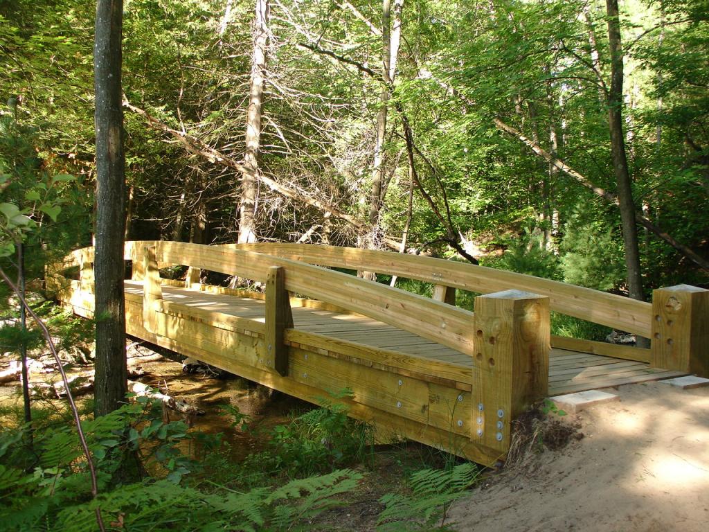 Ransom Lake Natural Area Bridge