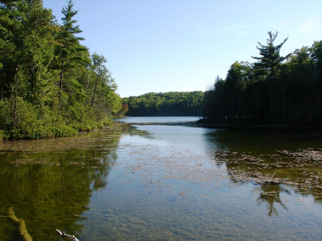 Ransom Lake Natural Area Lake View