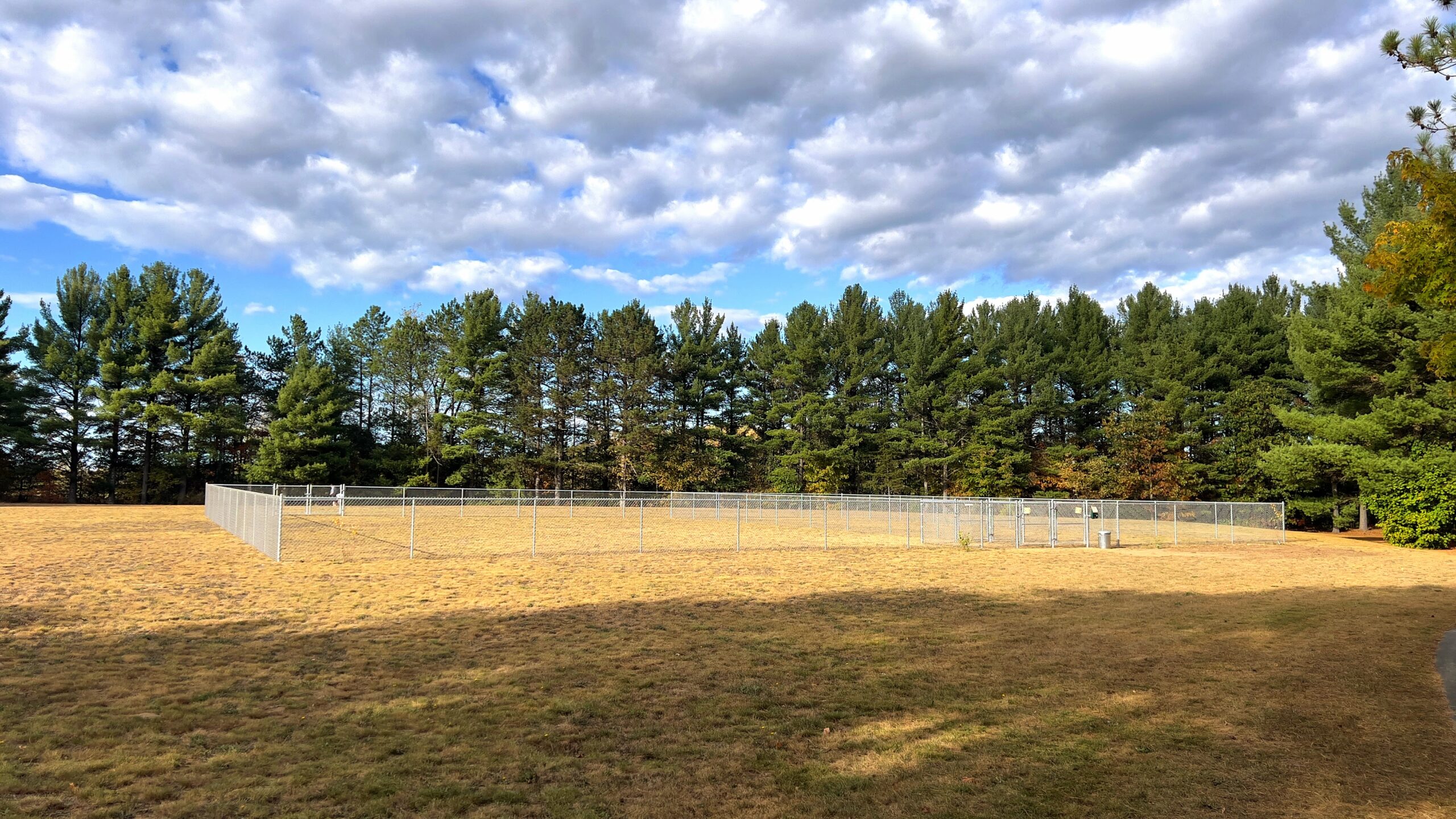 Fenced area of the new Dog Park